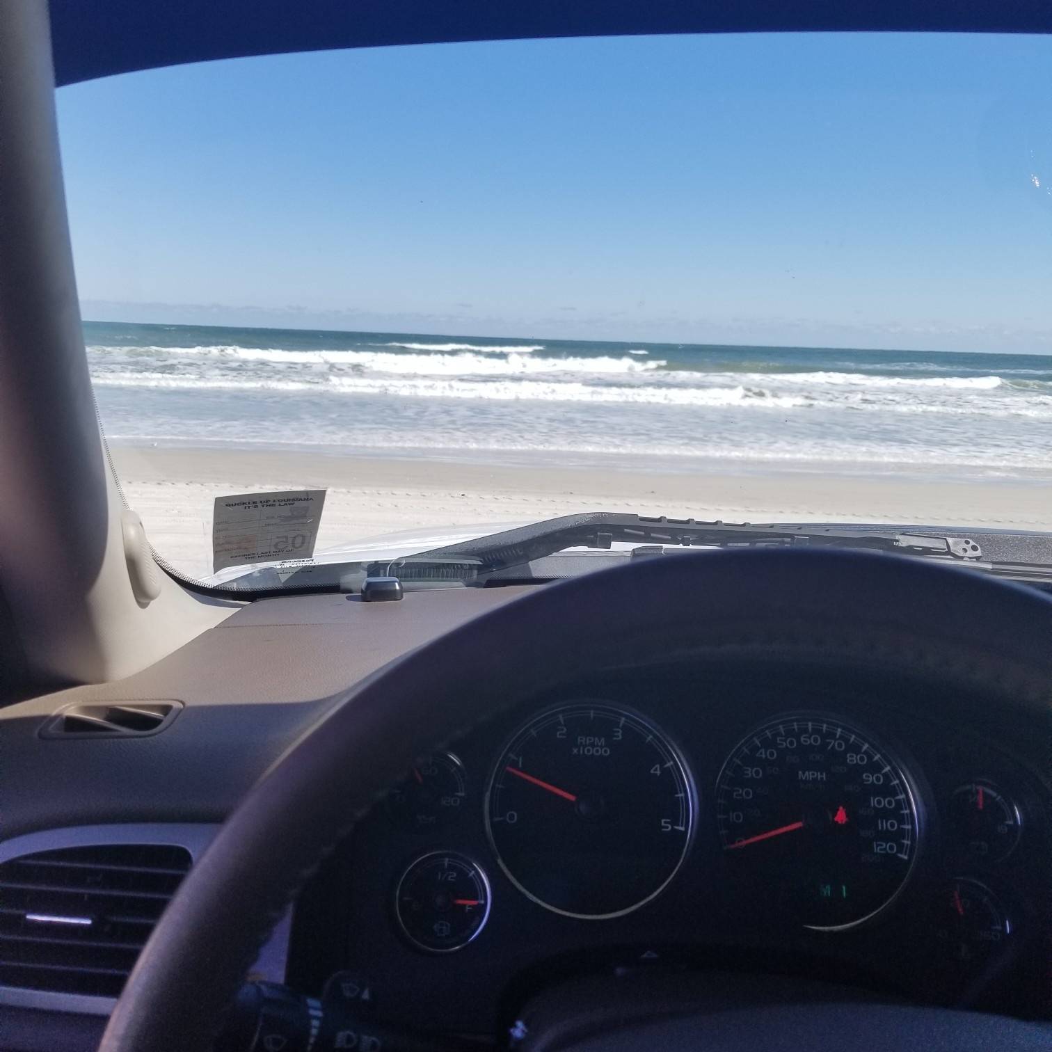 Daytona Beach Mugshots Searchsupport And Help Detail - 69mhop7