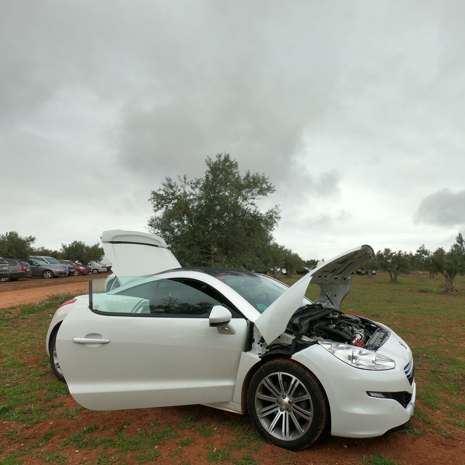 Peugeot RCZ 2014
